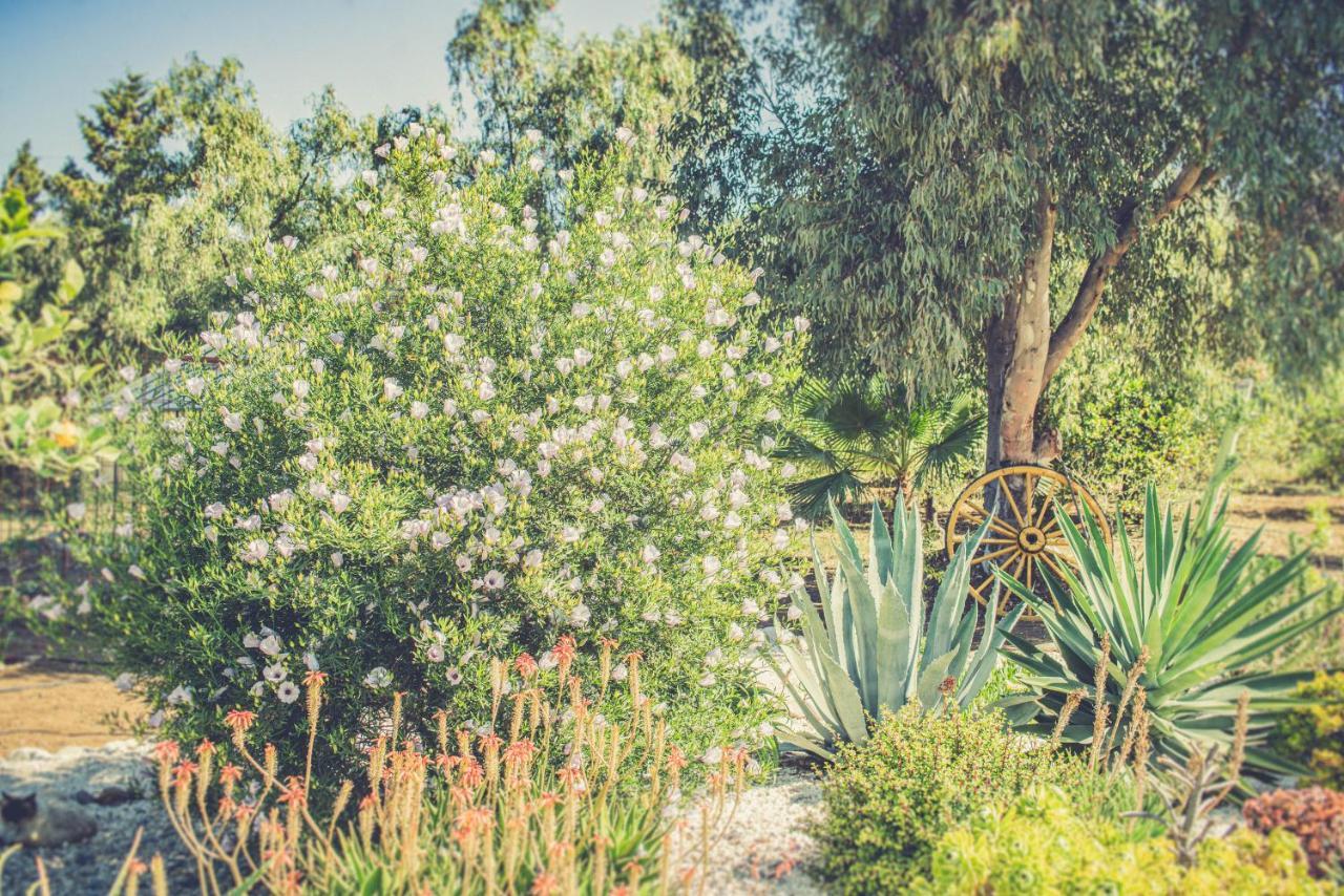 Finca El Limonar アロラ エクステリア 写真