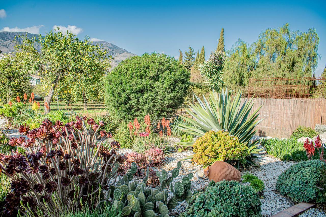 Finca El Limonar アロラ エクステリア 写真