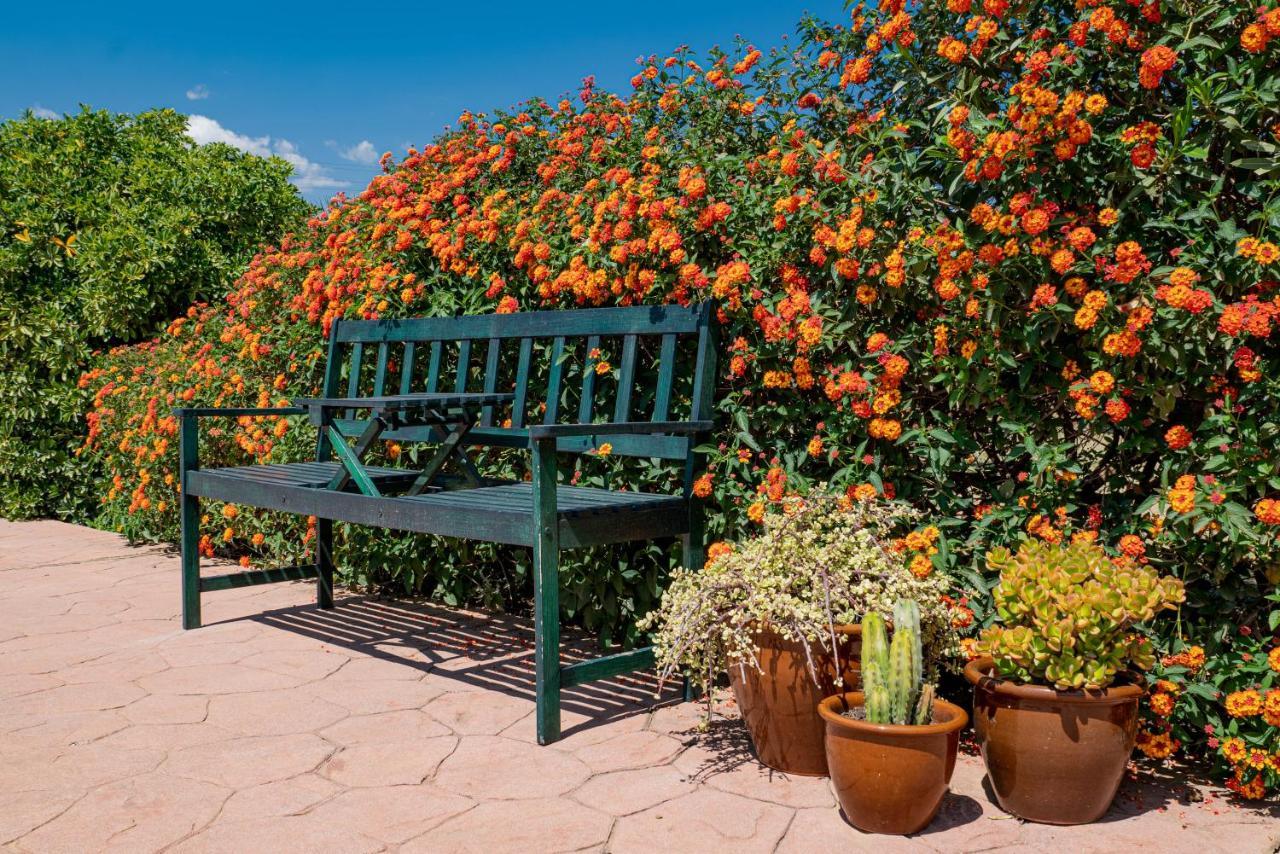 Finca El Limonar アロラ エクステリア 写真
