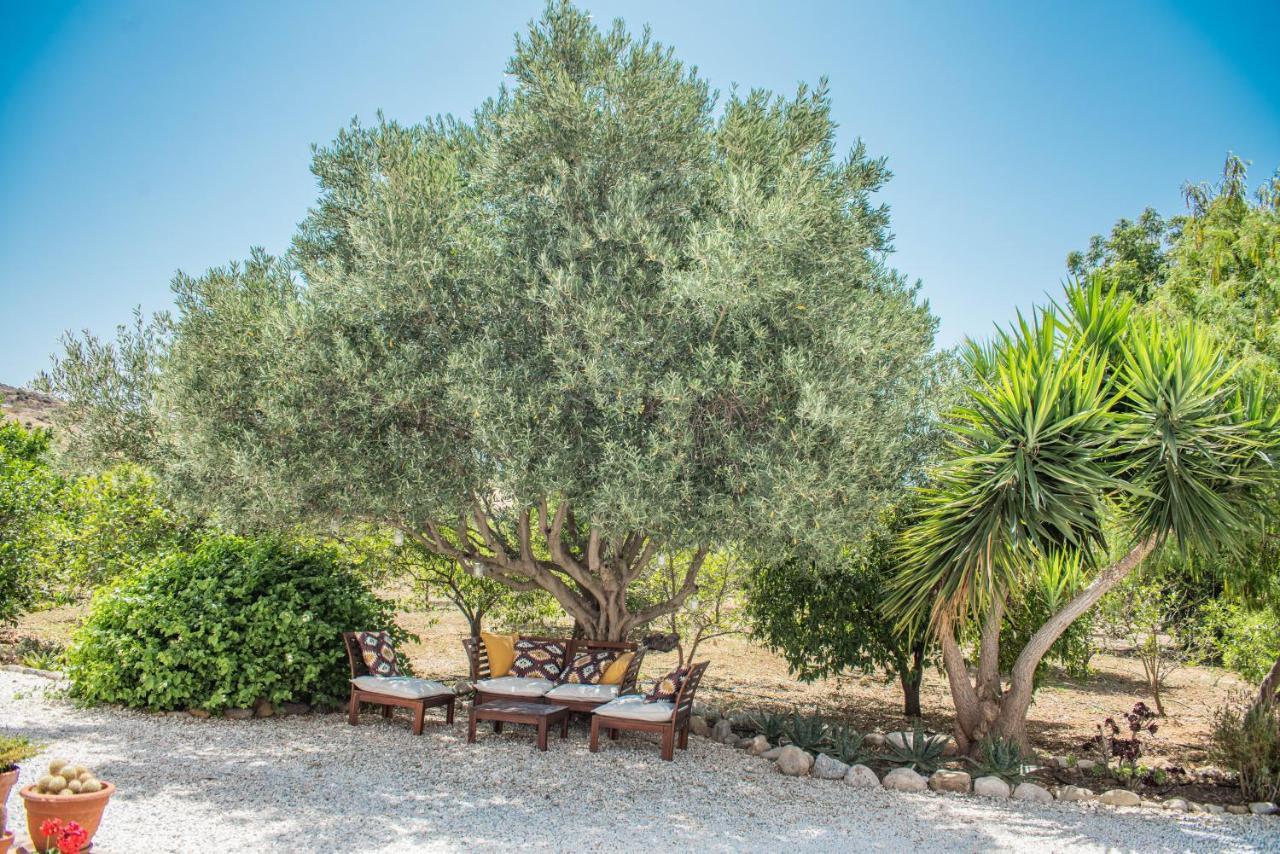 Finca El Limonar アロラ エクステリア 写真