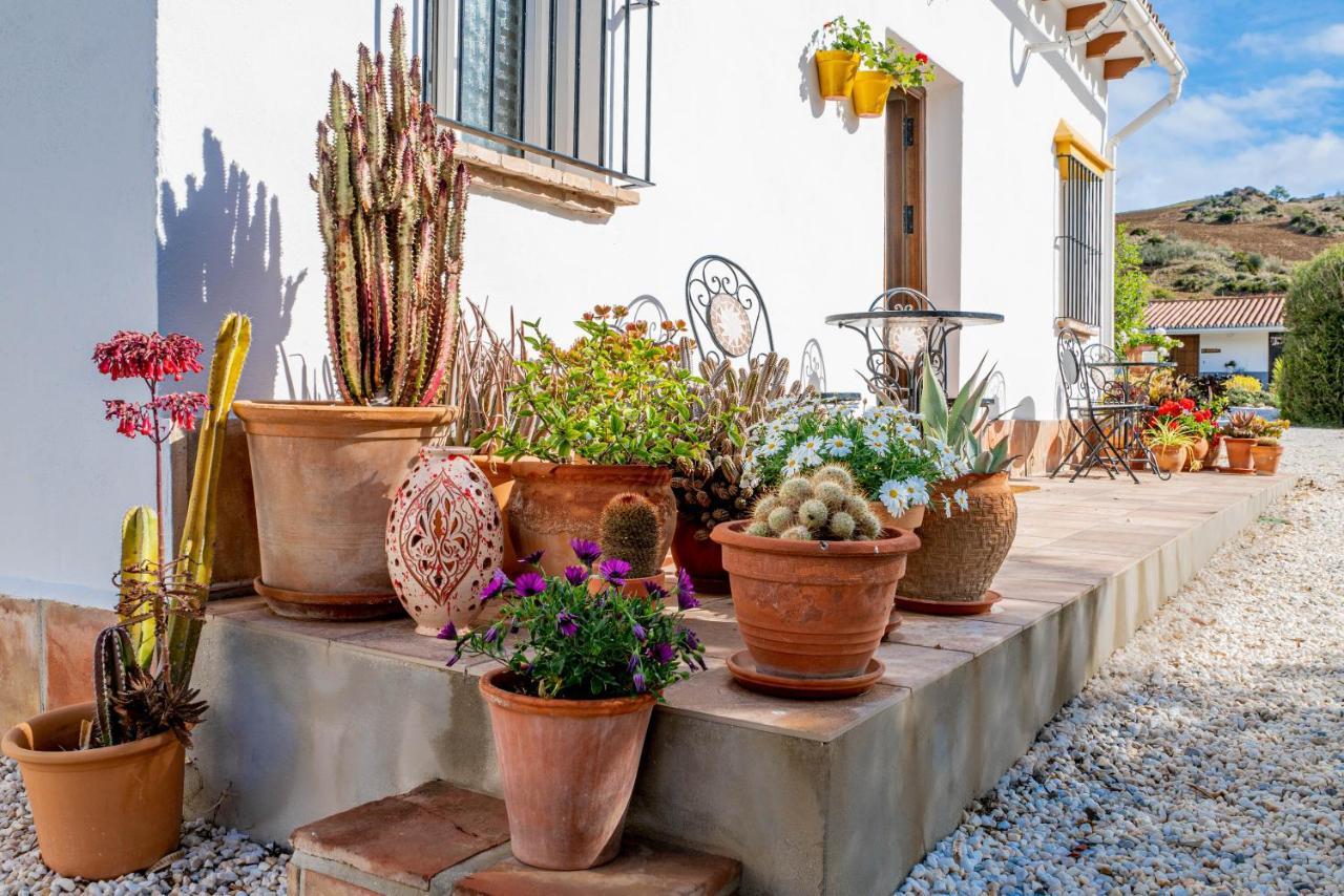 Finca El Limonar アロラ エクステリア 写真