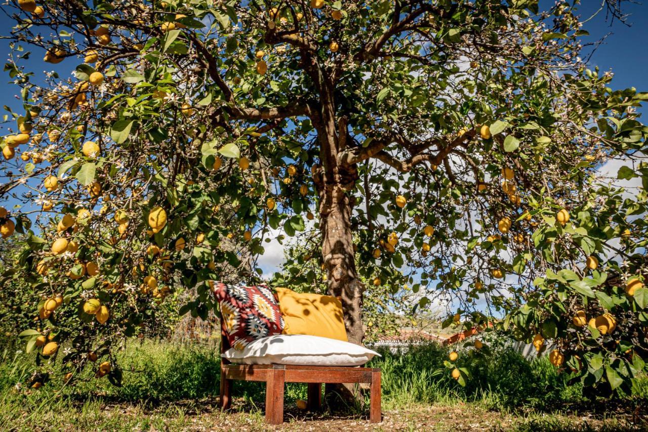 Finca El Limonar アロラ エクステリア 写真