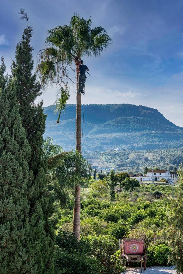 Finca El Limonar アロラ エクステリア 写真