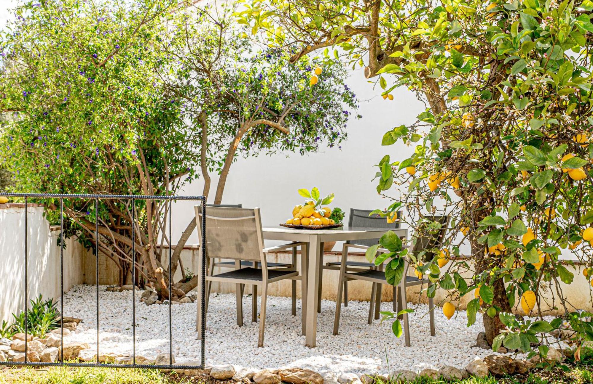 Finca El Limonar アロラ エクステリア 写真