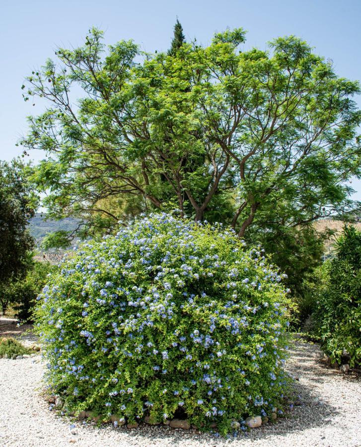 Finca El Limonar アロラ エクステリア 写真