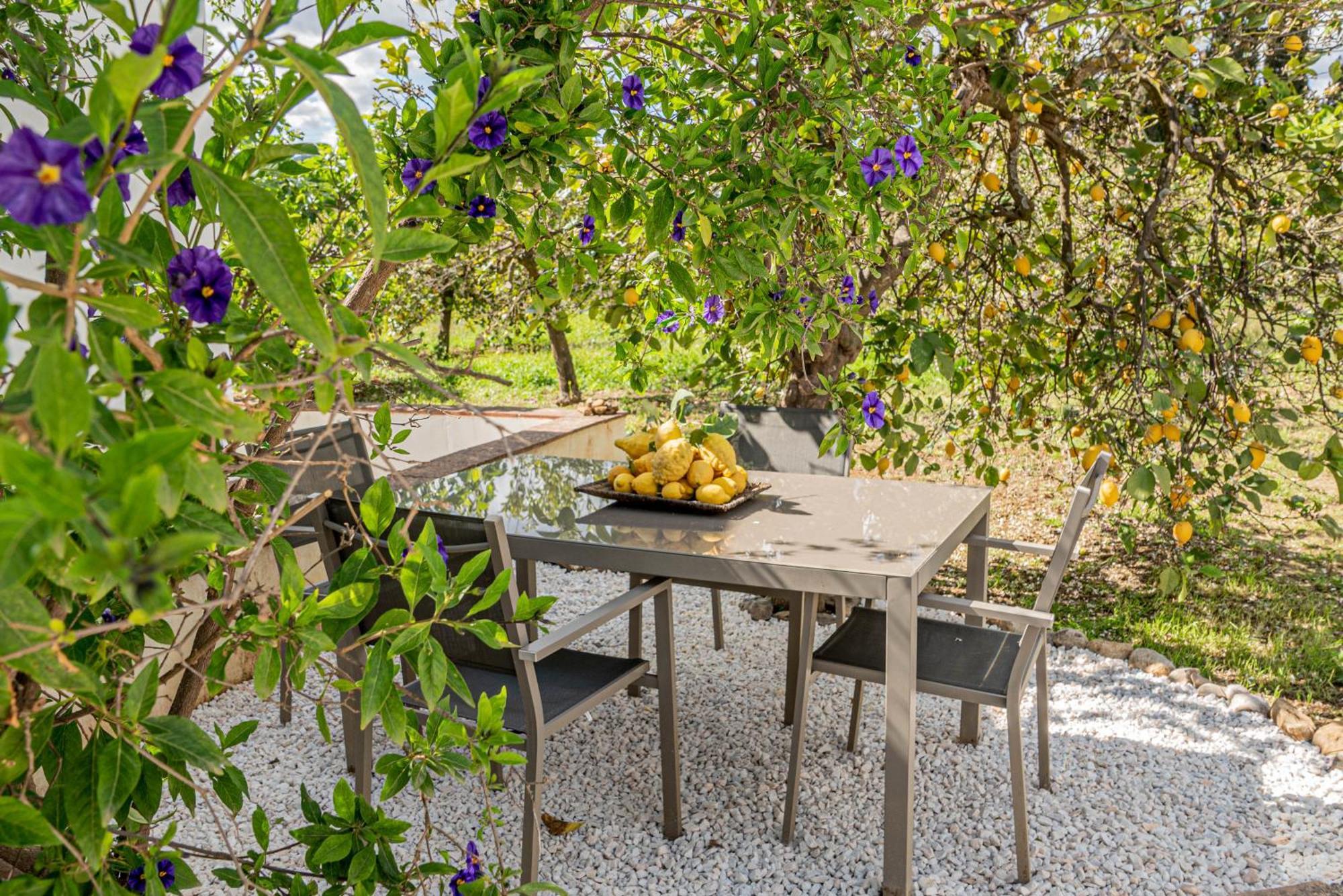Finca El Limonar アロラ エクステリア 写真