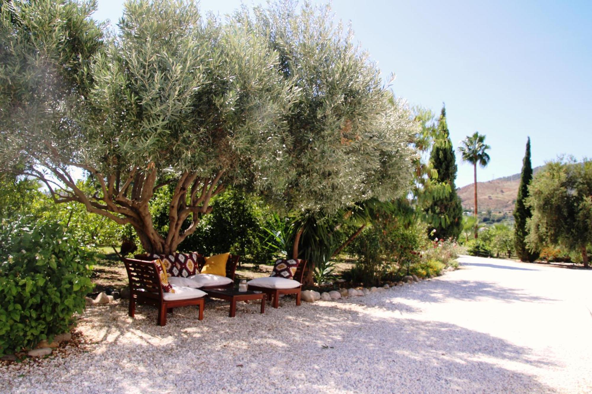 Finca El Limonar アロラ エクステリア 写真