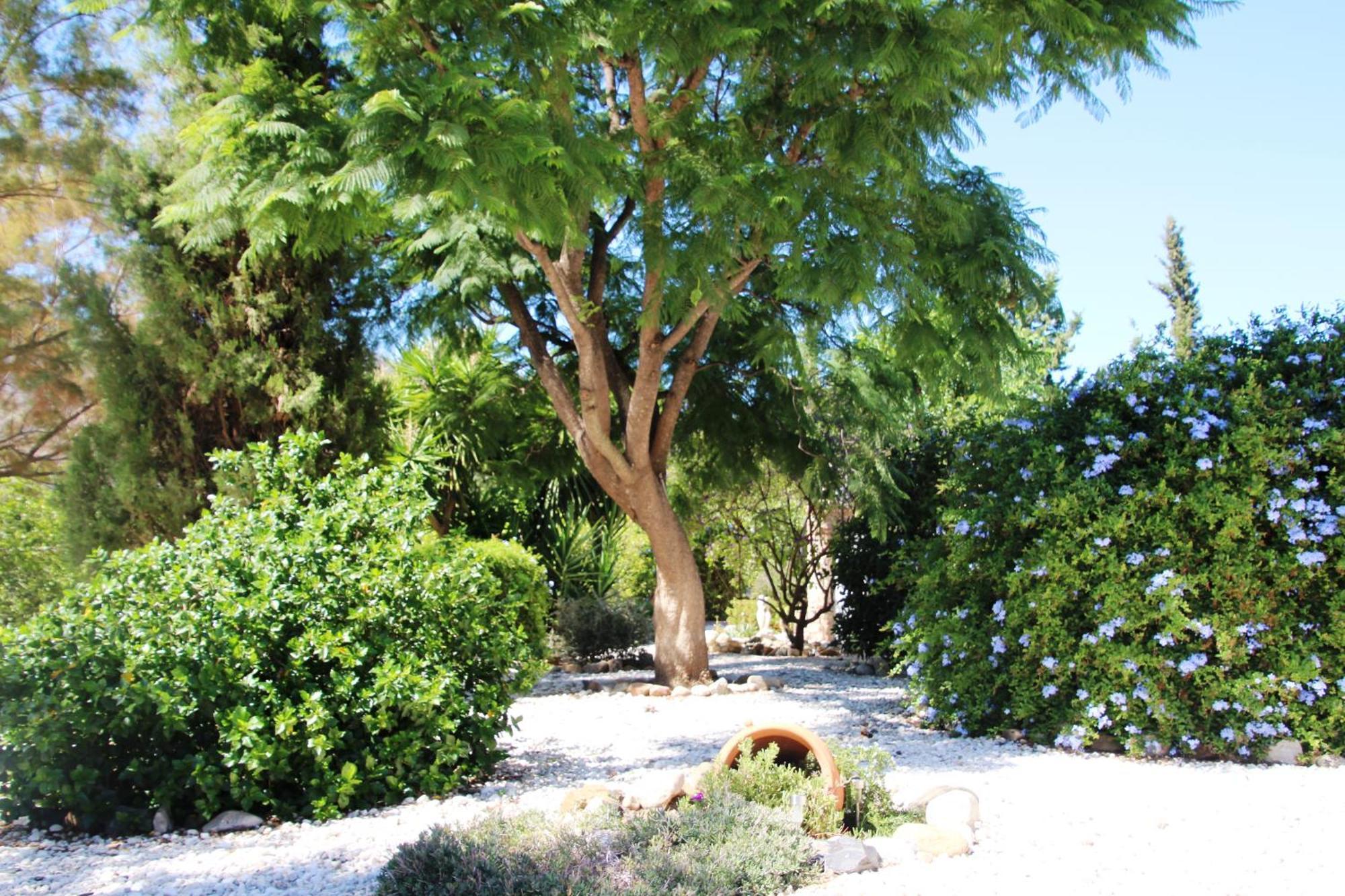 Finca El Limonar アロラ エクステリア 写真
